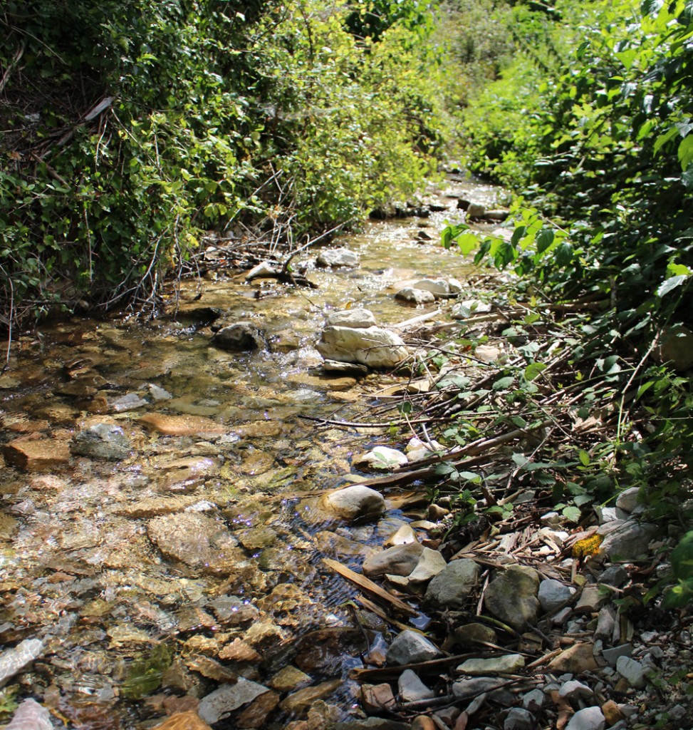 abbazia-sitria-torrente-artino